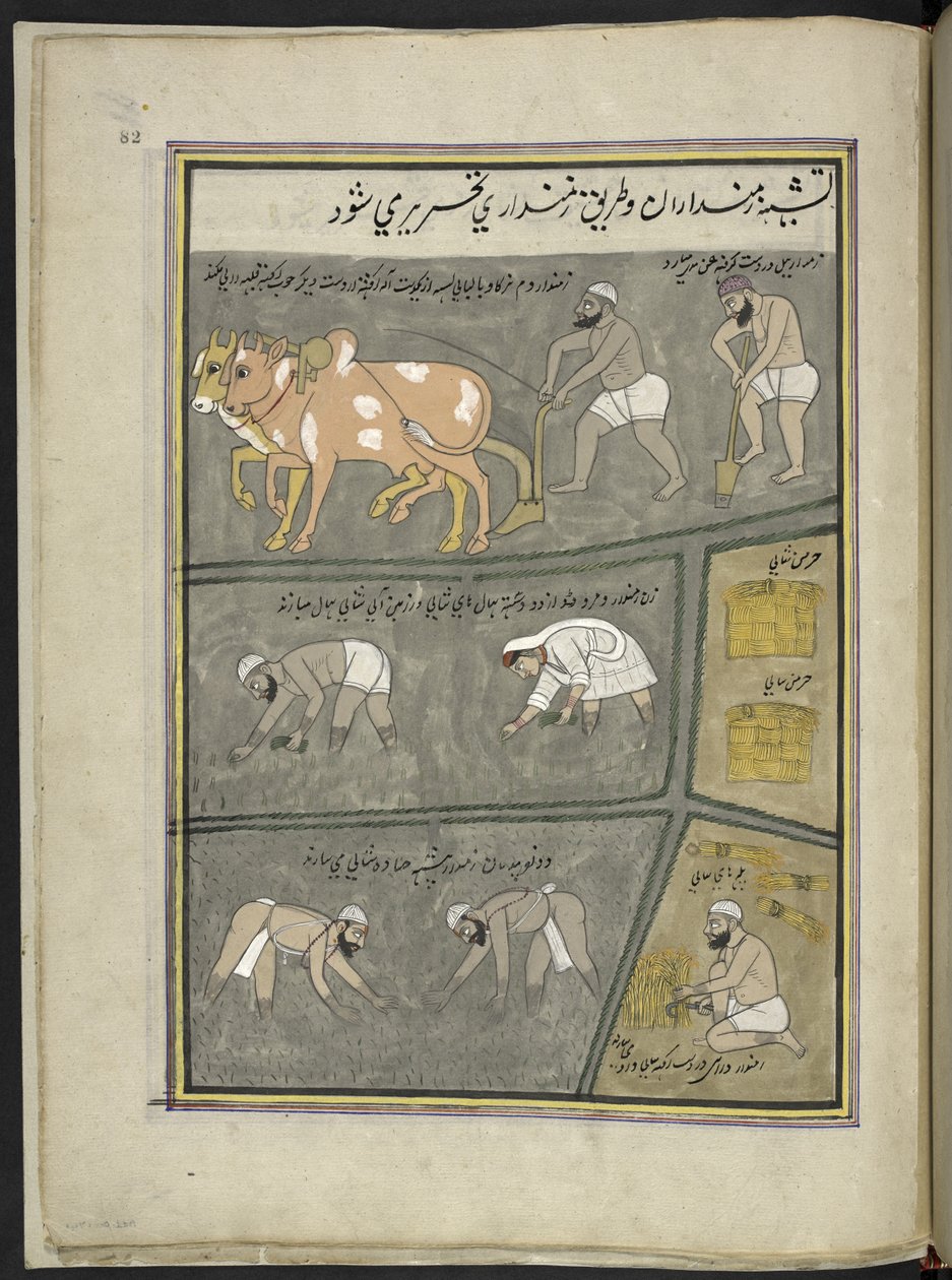  द्वारा इंडियन स्कूल