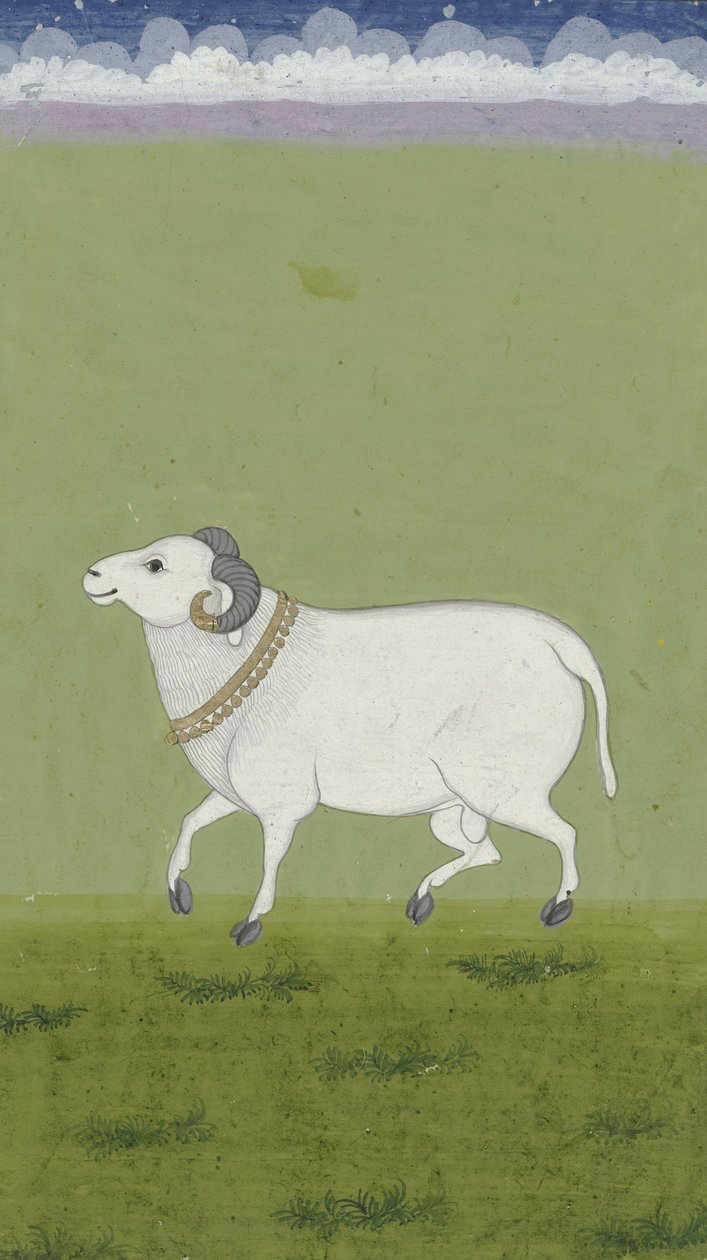 गोल्डन कॉलर के साथ राम, 1700-1799 द्वारा इंडियन स्कूल