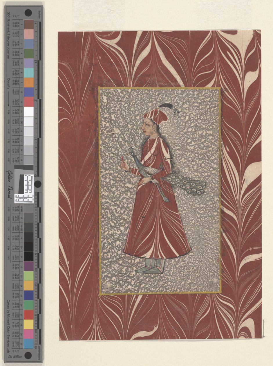 मोर को पकड़े हुए महिला, बीजापुर, c.1660 (कागज पर स्याही और पानी के रंग का) द्वारा इंडियन स्कूल