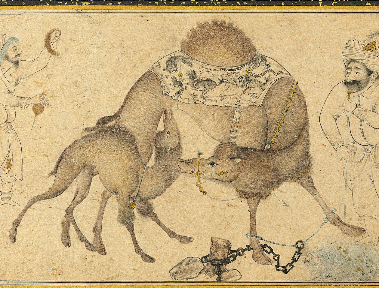 एक ऊंट और उसका बछड़ा, सफ़वीद ईरान, 1650-1700 द्वारा ईरानी स्कूल