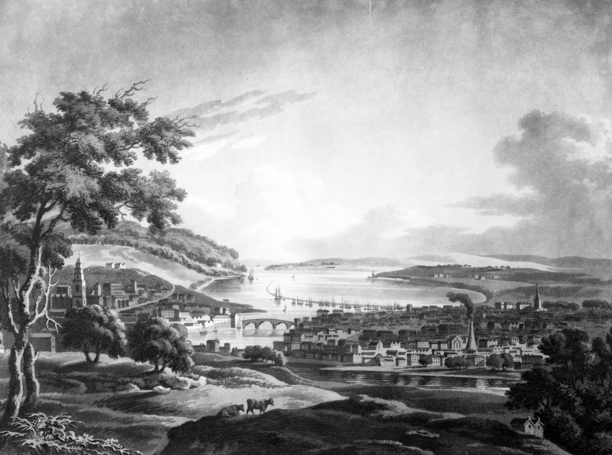कॉर्क शहर, 1799 (मेजोटोटिन) द्वारा आयरिश स्कूल