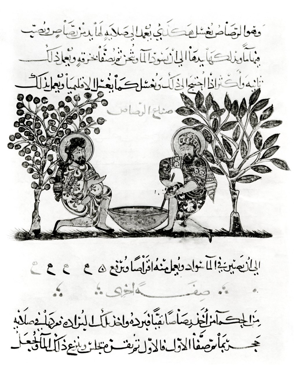 लीडिंग, पृष्ठ डायोसोराइड्स की संधि के एक अरबी संस्करण से पृष्ठ, &39;डी मटेरिया मेडिका&39;, 1222 द्वारा इस्लामी स्कूल