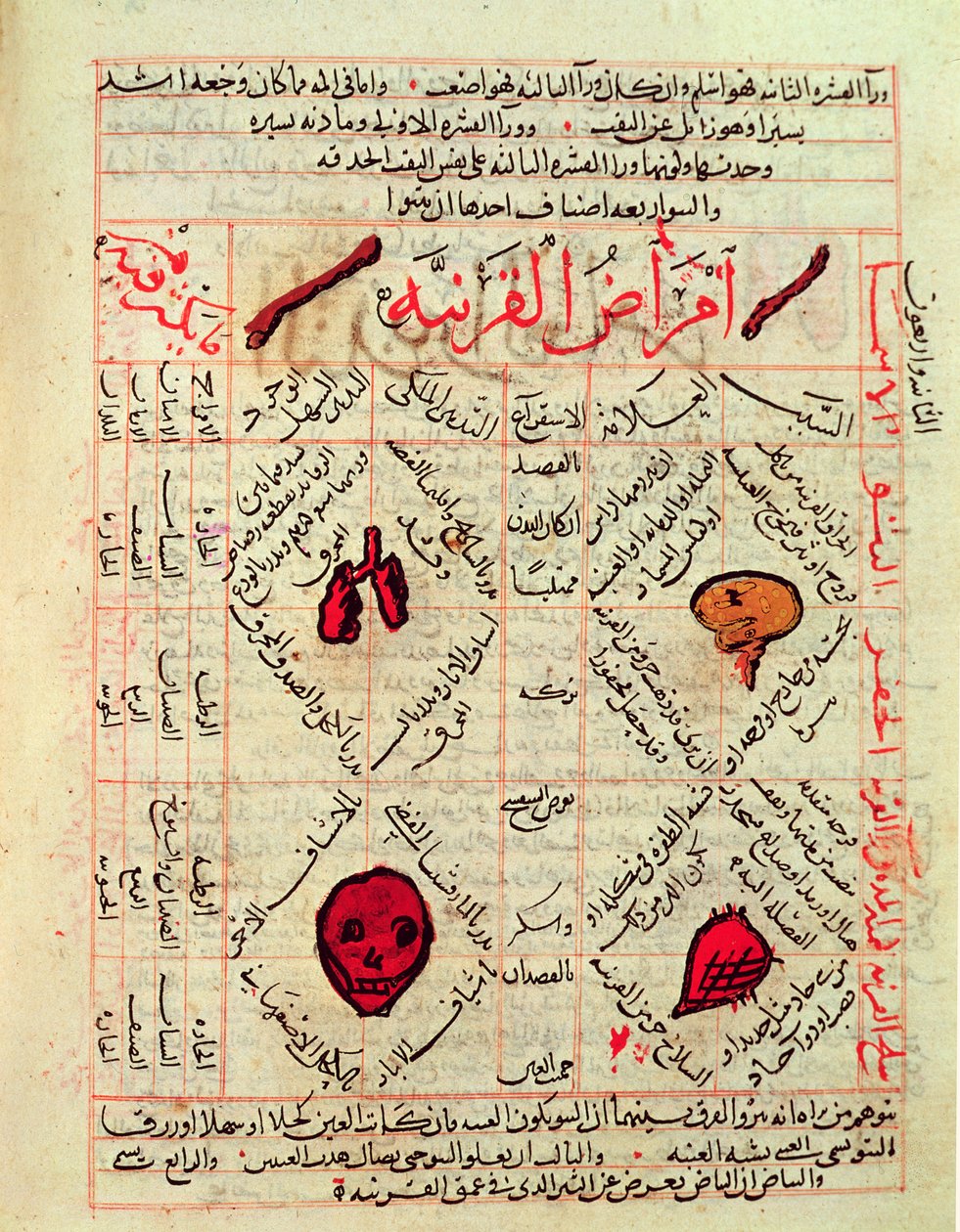 Avicenna (इब्न सिना) (980-1037) की &39;कैनन ऑफ मेडिसिन&39; से पेज द्वारा इस्लामी स्कूल