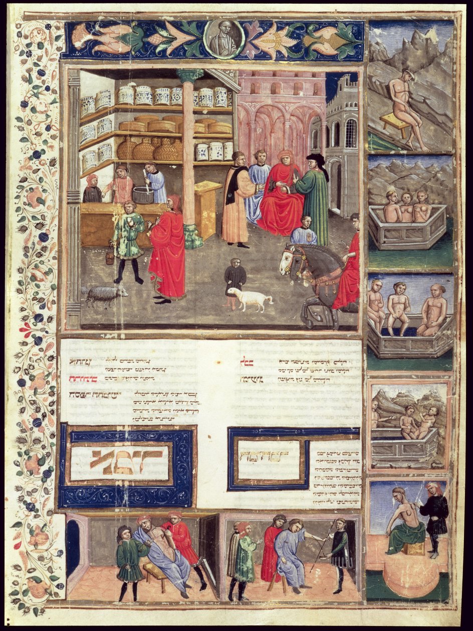 Avicenna (इब्न सिना) (980-1037) की &39;कैनन ऑफ मेडिसिन&39; से पेज द्वारा इस्लामी स्कूल