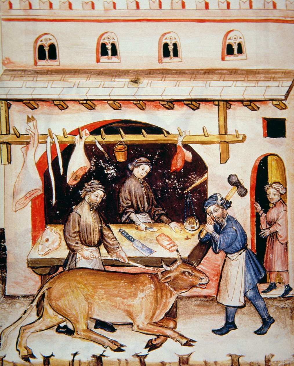Fol.73v द बुचर्स: वील, टैकुइनुम सेंटियाटिस कोडेक्स विन्डोबोनेसिस से चित्र द्वारा इतालवी स्कूल