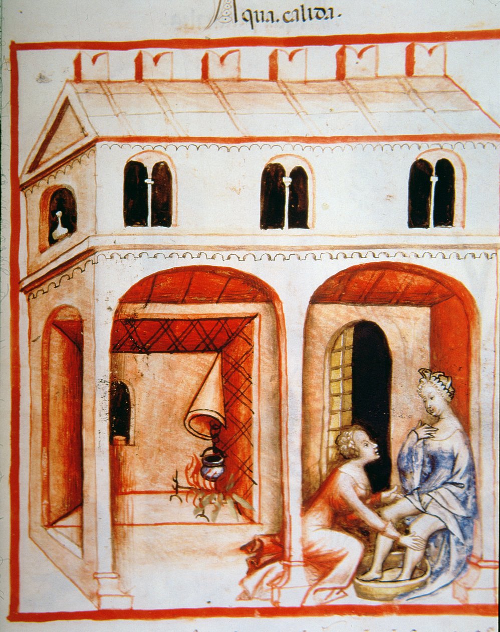 Fol.89r गर्म पानी, Tacuinum Santiatis कोडेक्स Vindobonensis से चित्रण द्वारा इतालवी स्कूल