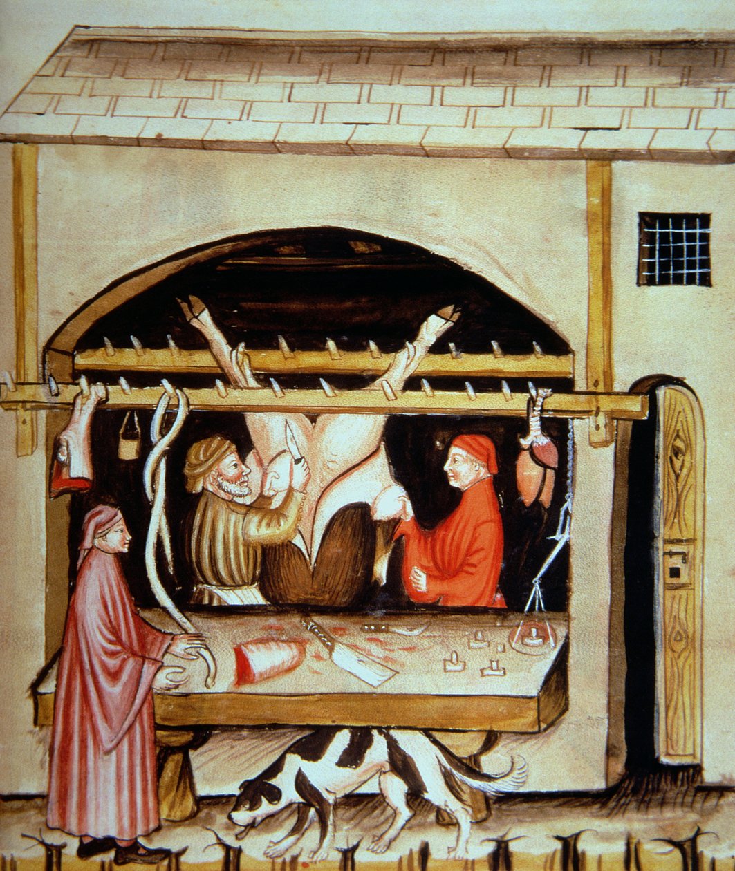 नोवा 2644 fol.79r द कसाई: टेडुइनम सैनिटैटिस से udders को हटाना द्वारा इतालवी स्कूल