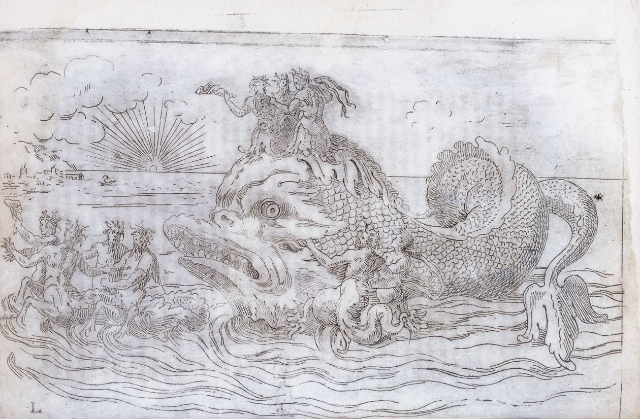 एक शानदार मछली रथ, 1579 द्वारा इतालवी स्कूल