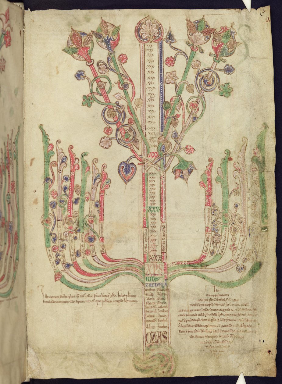 कॉर्पस क्रिस्टी ऑक्सफोर्ड एमएस 255A f.11r ट्री नए नियम में बाइबिल के आंकड़ों की वंशावली का चित्रण द्वारा इतालवी स्कूल