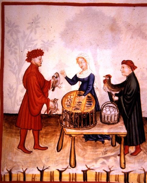 Fol.67r युवा कबूतरों की बिक्री, 'टैकुइनम सैंटियाटिस कोडेक्स विंडोबोनेंसिस' (वेल्लम) से चित्रण द्वारा इतालवी स्कूल