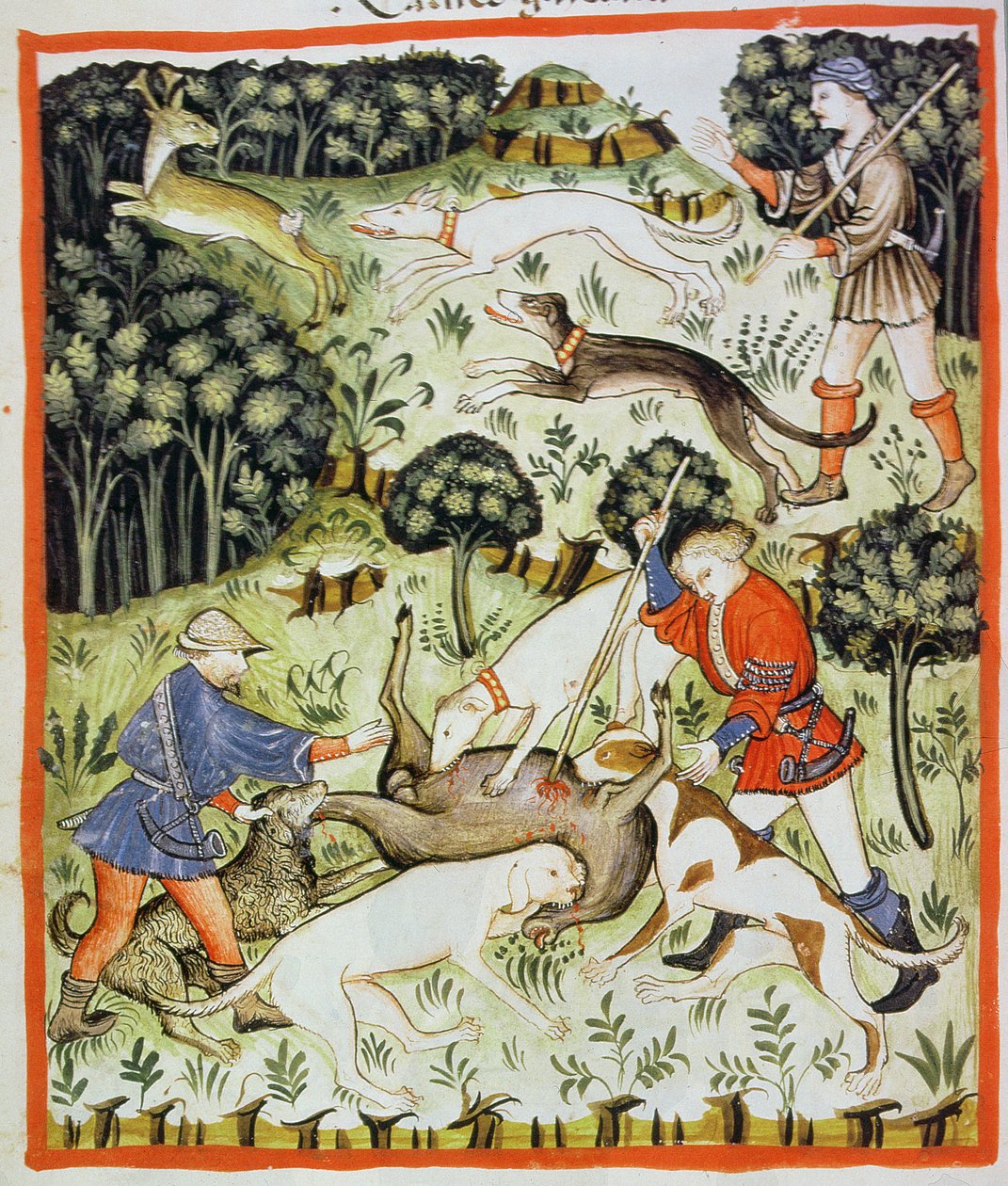Fol.71v शिकार गज़ेल, टाकुइनम सैंटियाटिस कोडेक्स विंडोबोनेंसिस से चित्रण द्वारा इतालवी स्कूल