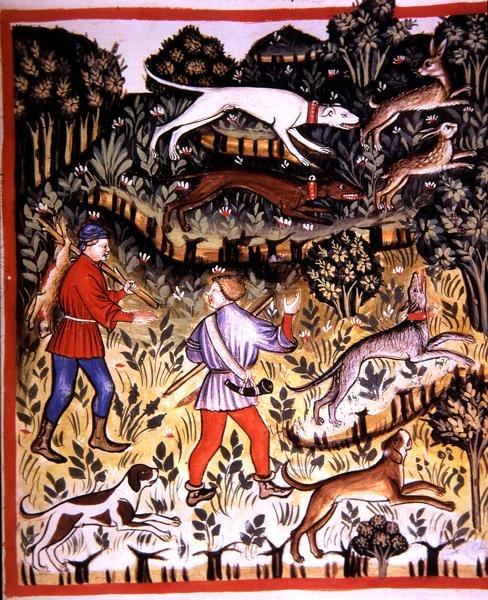 Fol.72r हंटिंग हरे, 'टैकुइनम सैंटियाटिस' (वेल्लम) से चित्रण द्वारा इतालवी स्कूल