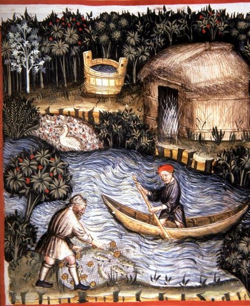 Fol.82r ताजा मछली, 'टैकुइनम सैंटियाटिस कोडेक्स विंडोबोनेंसिस' (वेल्लम) से चित्रण द्वारा इतालवी स्कूल