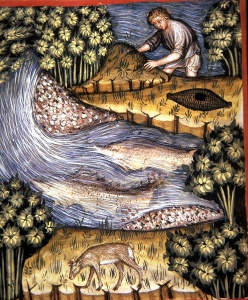 Fol.84v एम्बर, 'टैकुइनम सैंटियाटिस कोडेक्स विंडोबोनेंसिस' (वेल्लम) से चित्रण द्वारा इतालवी स्कूल