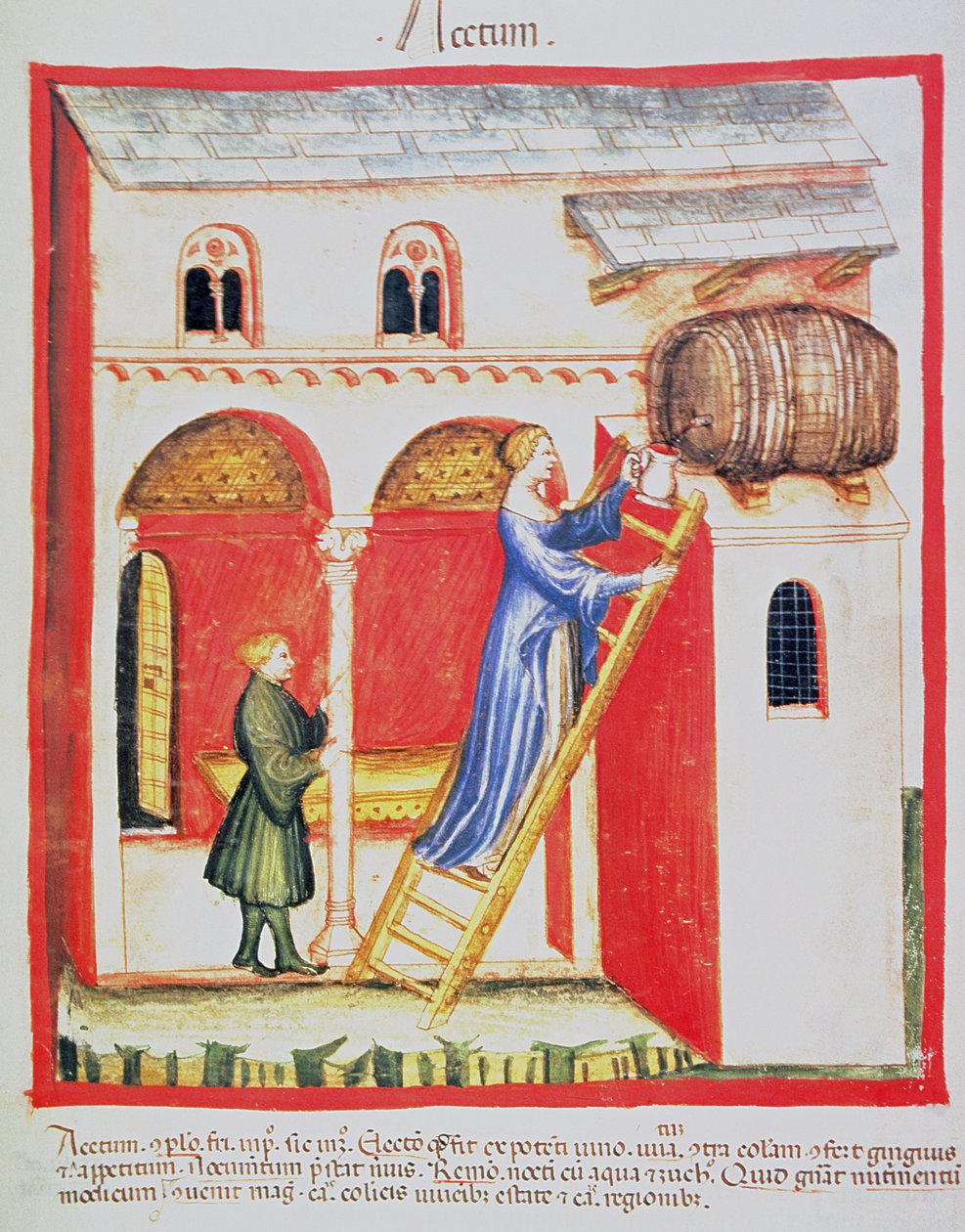 Fol.85v सिरका, Tacuinum Santiatis कोडेक्स Vindobonensis से चित्रण द्वारा इतालवी स्कूल