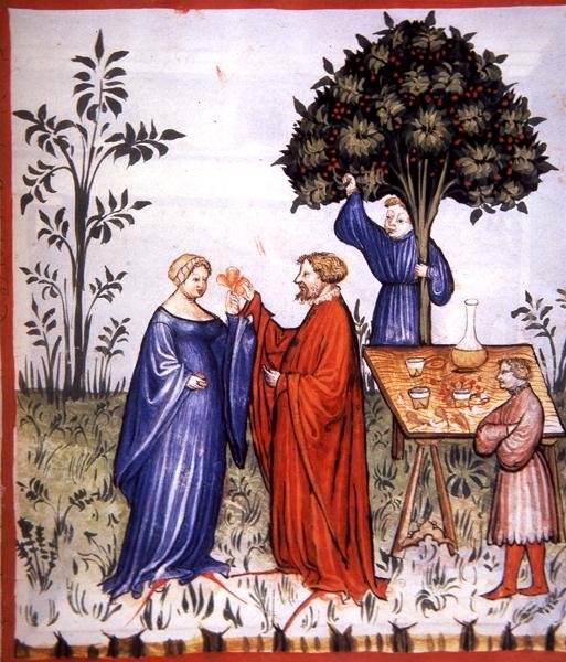 Fol.86r व्हाइट वाइन, 'टैकुइनम सैंटियाटिस कोडेक्स विंडोबोनेंसिस' (वेल्लम) से चित्रण द्वारा इतालवी स्कूल