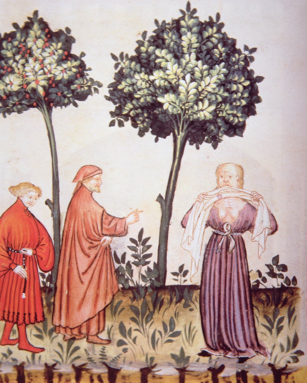 Fol.98v हैजा, Tacuinum Santiatis कोडेक्स Vindobonensis से चित्रण द्वारा इतालवी स्कूल