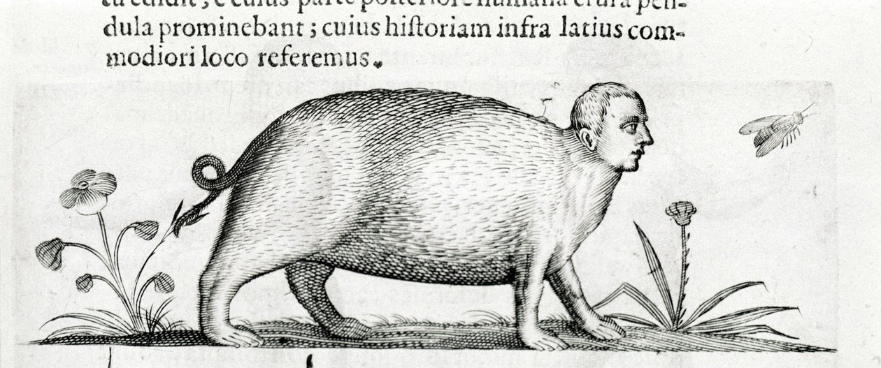 La manticore - Fortunio यद्यपि द्वारा "राक्षसों की प्रकृति पर पुस्तक दो का कारण बनता है" में द्वारा इतालवी स्कूल