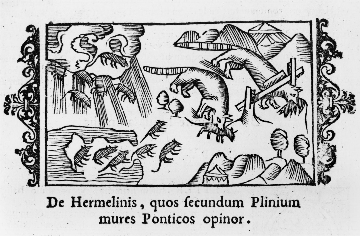 lemmings के प्रवासन, &39;उत्तरी "ओलौस मैग्नुस द्वारा (1490-1558) रोम, 1555 में प्रकाशित का विवरण से द्वारा इतालवी स्कूल