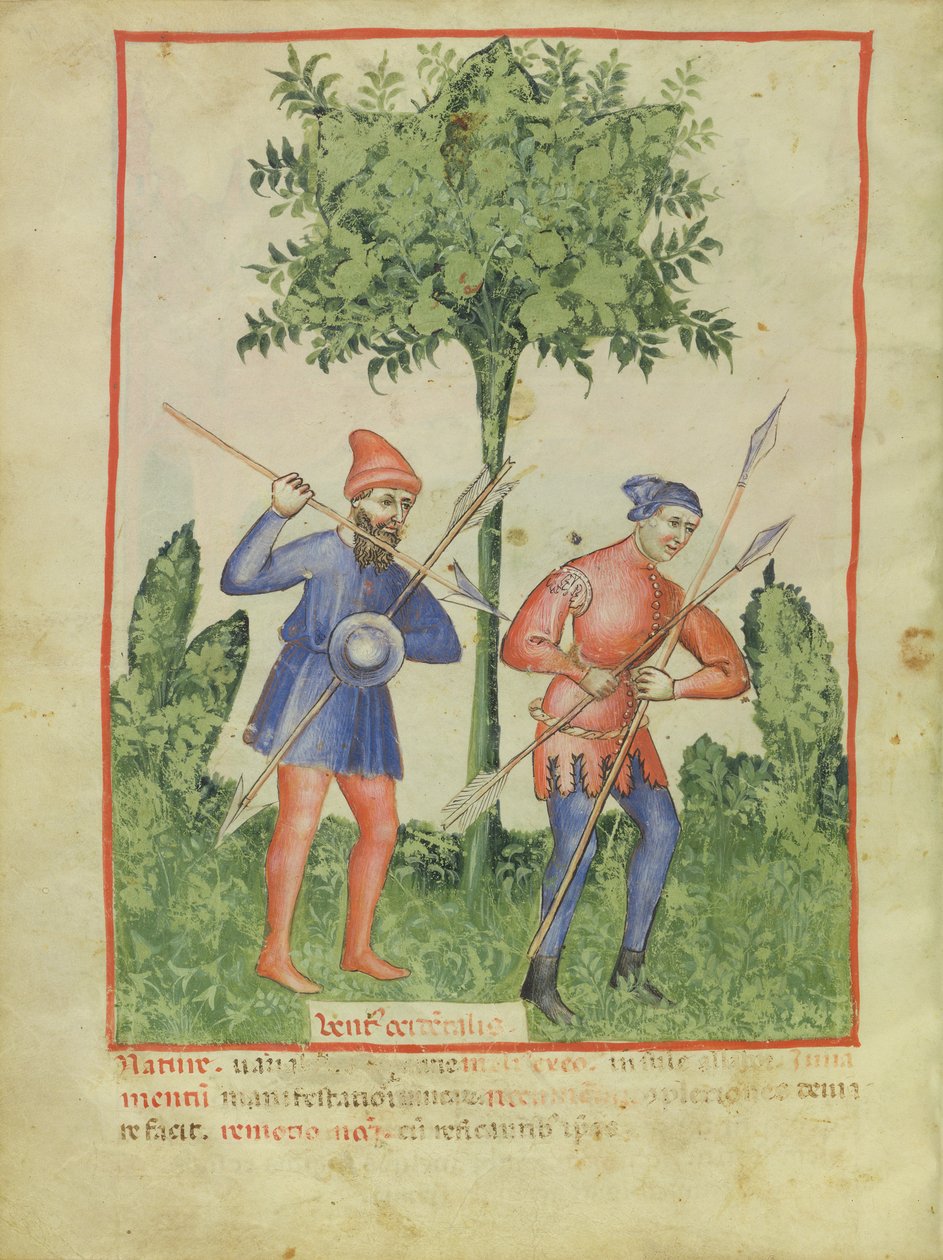 Nouy ACQ अक्षांश 1673 पश्चिम हवा fol.100v, Tacuinum स्वस्थ, c.1390-1400 से द्वारा इतालवी स्कूल