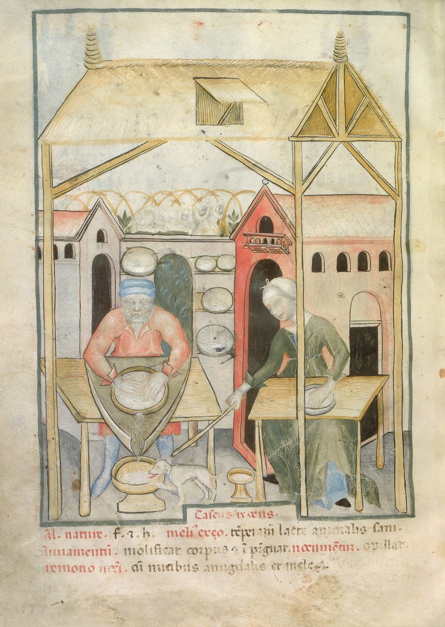 नाउव एक्क लाट 1673 fol.58v पनीर की तैयारी, टाकुइनम सेनिटैटिस से, c.1390-1400 द्वारा इतालवी स्कूल