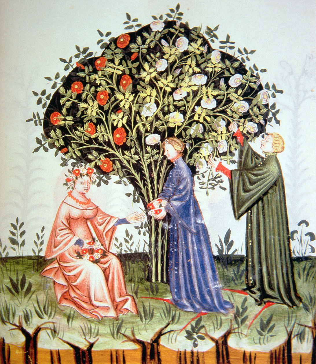नोवा 2644 fol.38r सभा गुलाब, Tacuinum Santiatis कोडेक्स विन्डोबोन्सिस से चित्र द्वारा इतालवी स्कूल