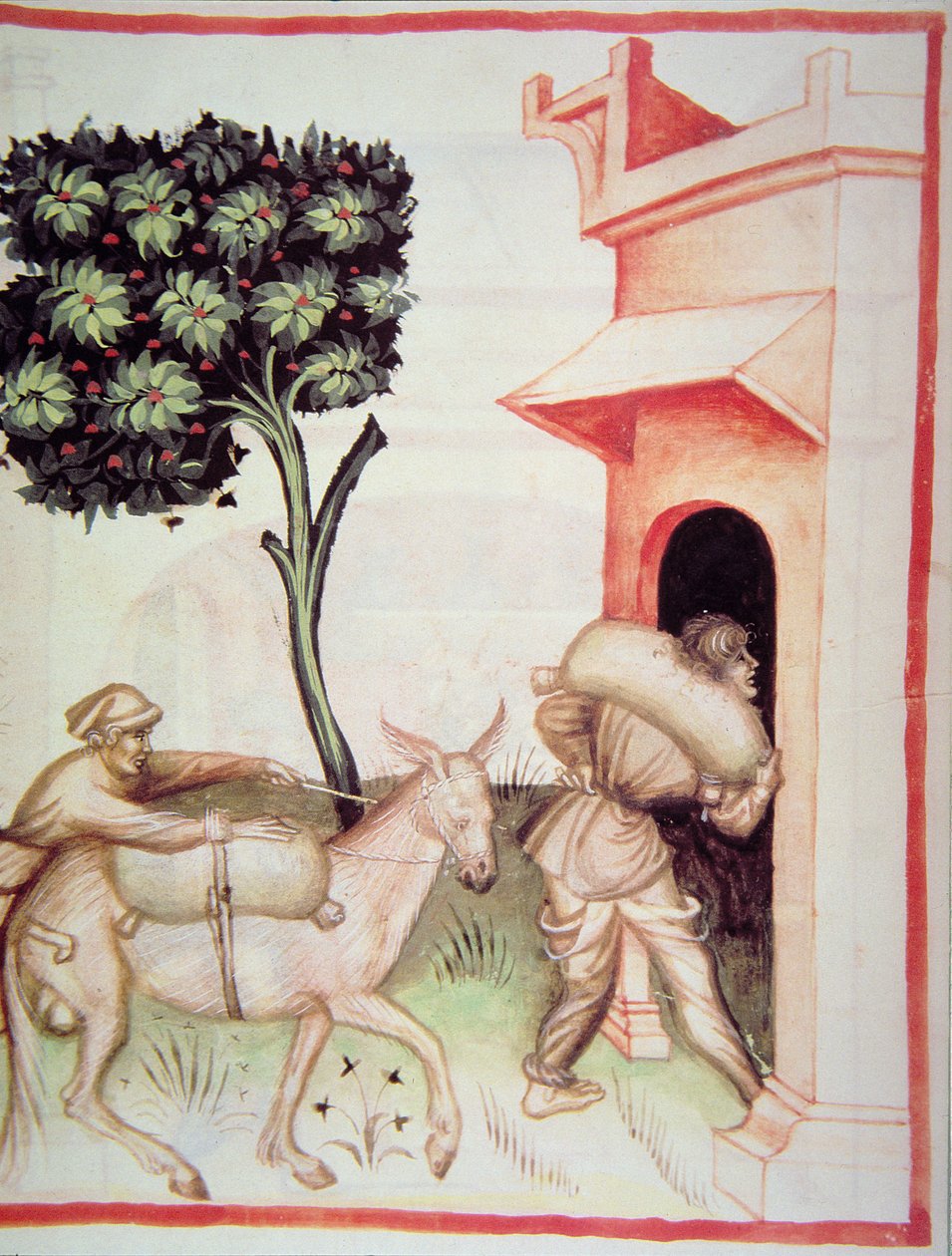 नोवा 2644 fol.91v ऑलिव ऑयल: जैतून का परिवहन, टाक्यूइनम सैनिटैटिस से द्वारा इतालवी स्कूल