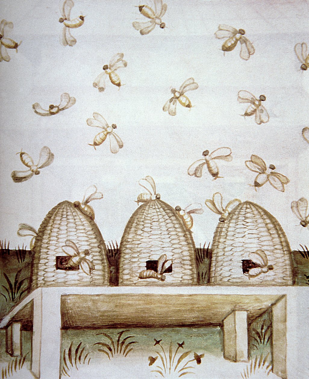 नई 2644 fol.94v Beehives, स्वस्थ Tacuinum से द्वारा इतालवी स्कूल