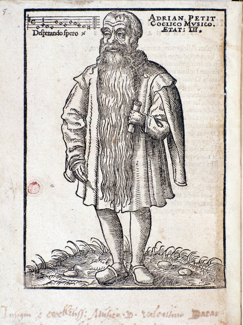 पुनर्जागरण के नीदरलैंड संगीतकार एड्रियनस पेटिट कोकिलो (1500-1562) का पोर्ट्रेट। द्वारा इतालवी स्कूल