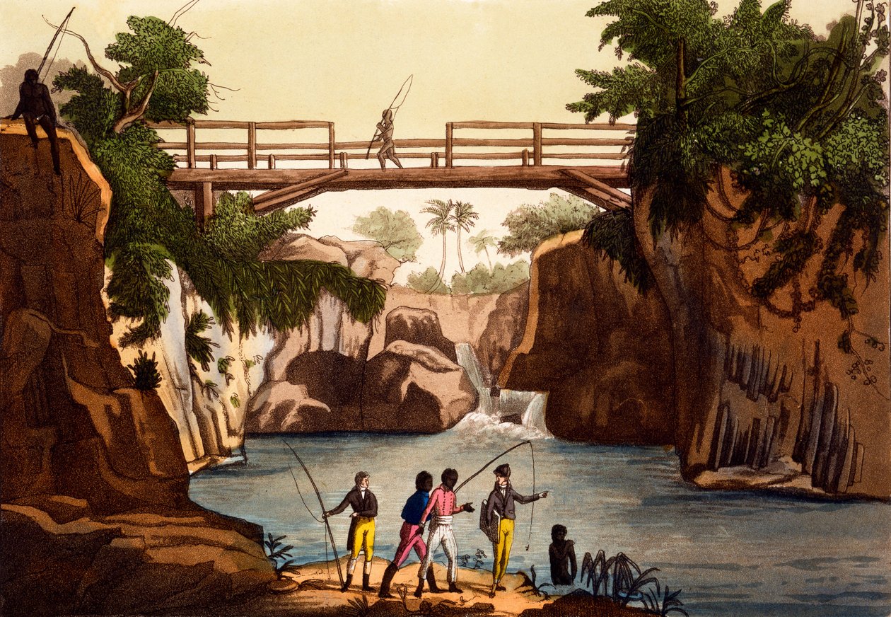 सैन बेनेडेटो के पास नदी रोकी, मेडागास्कर के आइल, Giulio Ferrario, C.1820s-30s द्वारा ... द्वारा इतालवी स्कूल