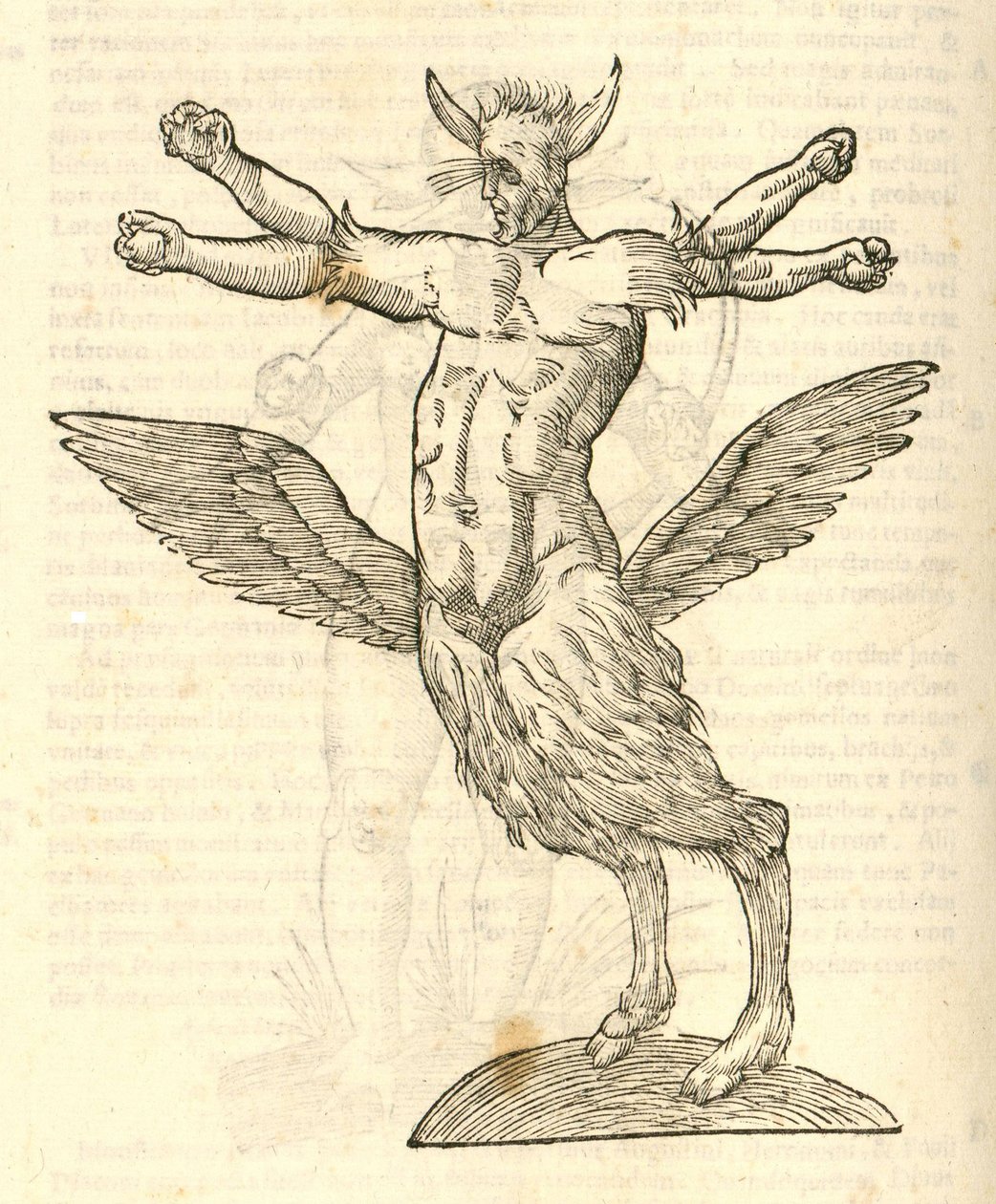 tetrachiron मानव के पंखों वाला राक्षस चित्रण दानव की kazakovae इतिहास 1642 से कान द्वारा इतालवी स्कूल