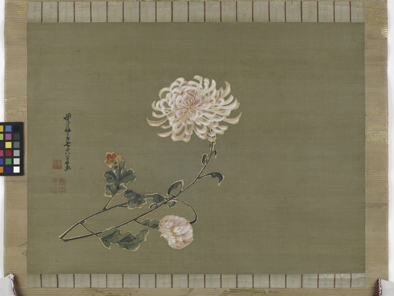 गुलदाउदी, ईदो अवधि, 1791 (रेशम पर स्याही और रंग) द्वारा इतो जकचु
