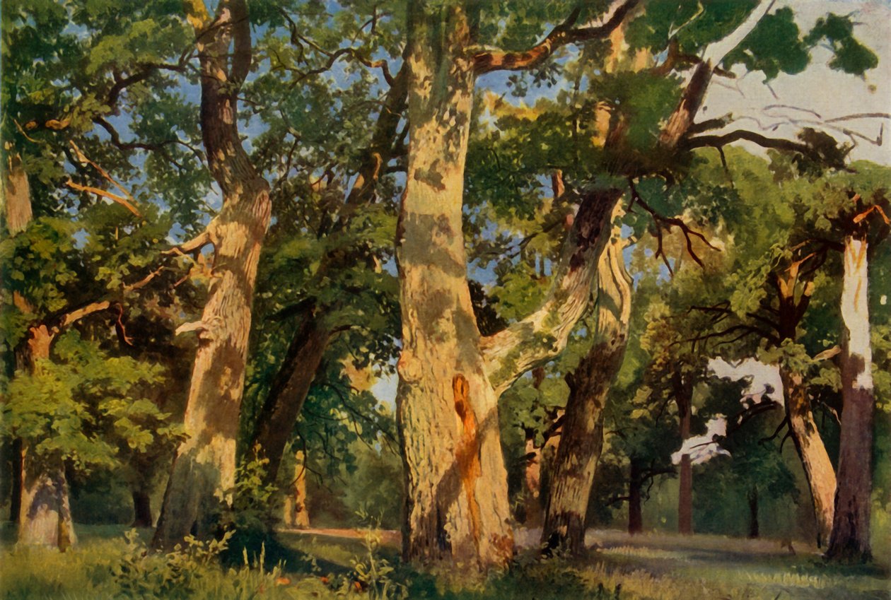 ऑकडे ट्रीज़ इन इवेंटाइड, 1887, 1965। द्वारा इवान इवानोविच शिश्किन