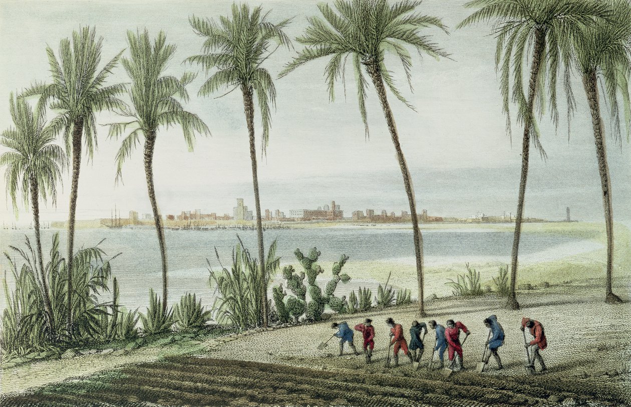 कैडिज़ का सामान्य दृश्य, जॉन पाइ द्वारा उत्कीर्ण (1782-1874) द्वारा जे टेलर