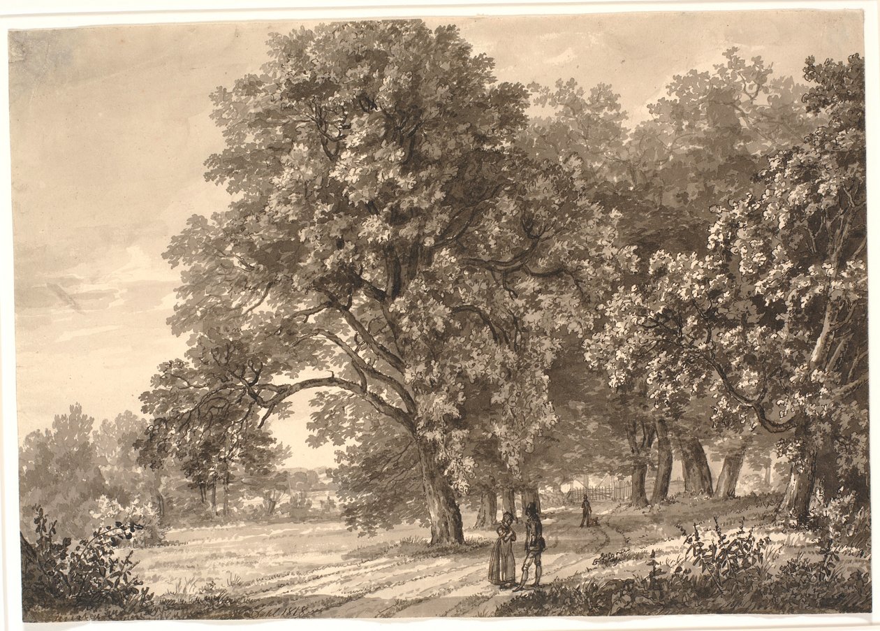 सोरो, ज़ीलैंड के पास एक जंगल में एक सड़क का दृश्य द्वारा जोहान क्रिश्चियन डाहल