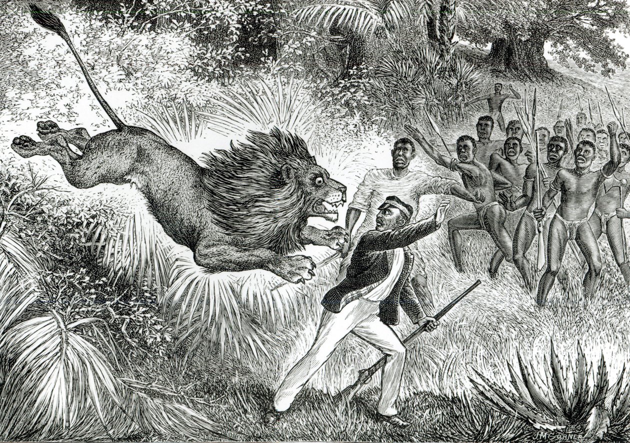 लिविंगस्टोन पर हमला शेर (bw फोटो) द्वारा जेएम कोबनेर