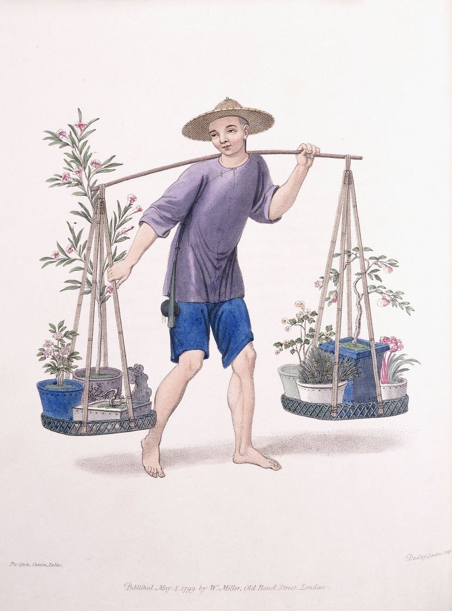 फलों के पेड़ और फूलों के साथ एक कुली, c.1800-01 द्वारा जे डैडली
