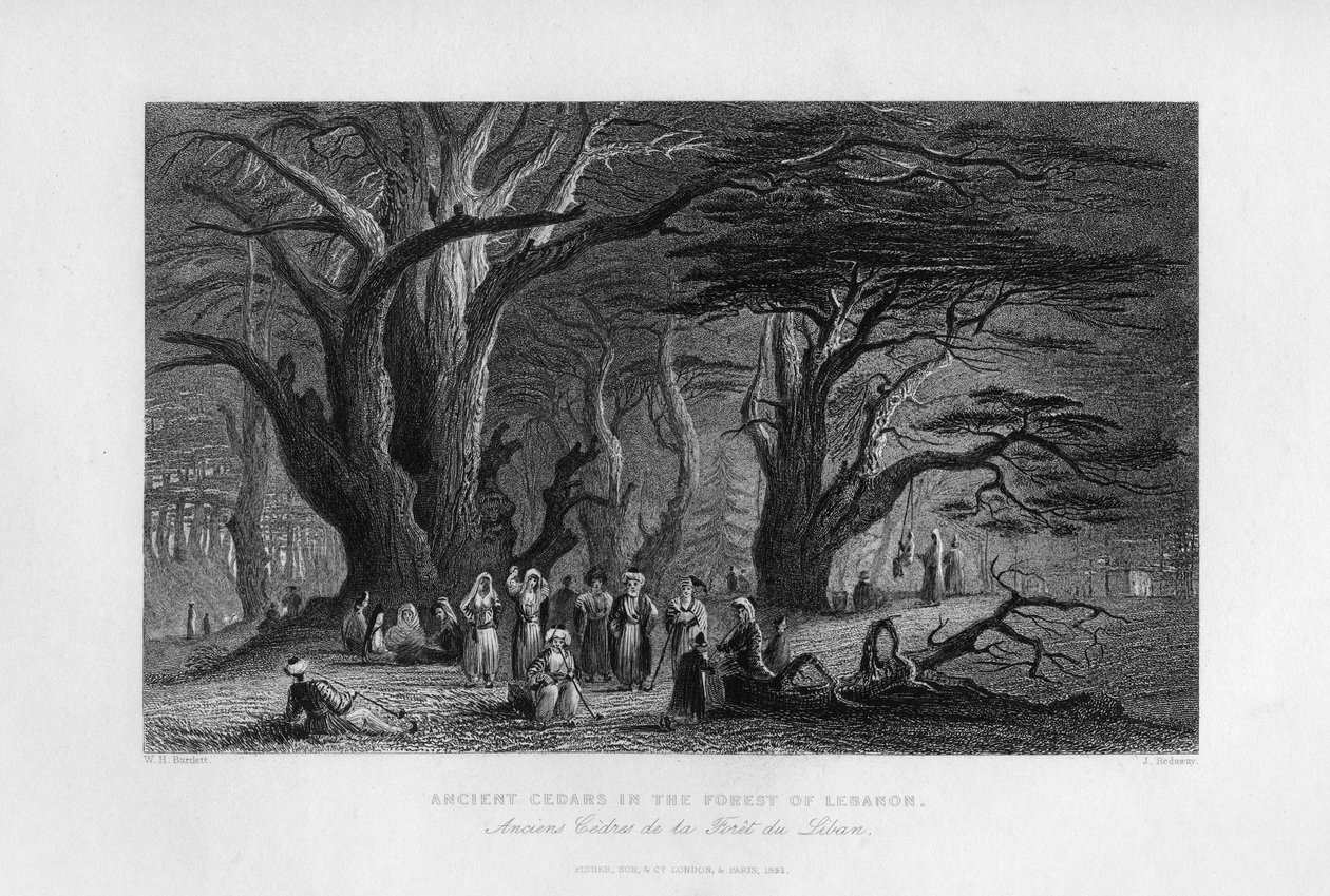 लेबनान के जंगल में प्राचीन देवदार, 1841 द्वारा जे। रिडवे