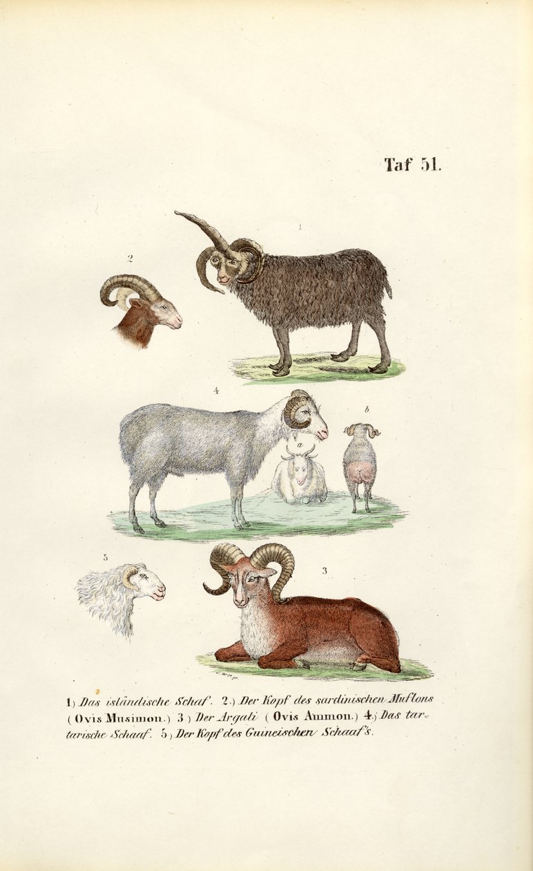  द्वारा 