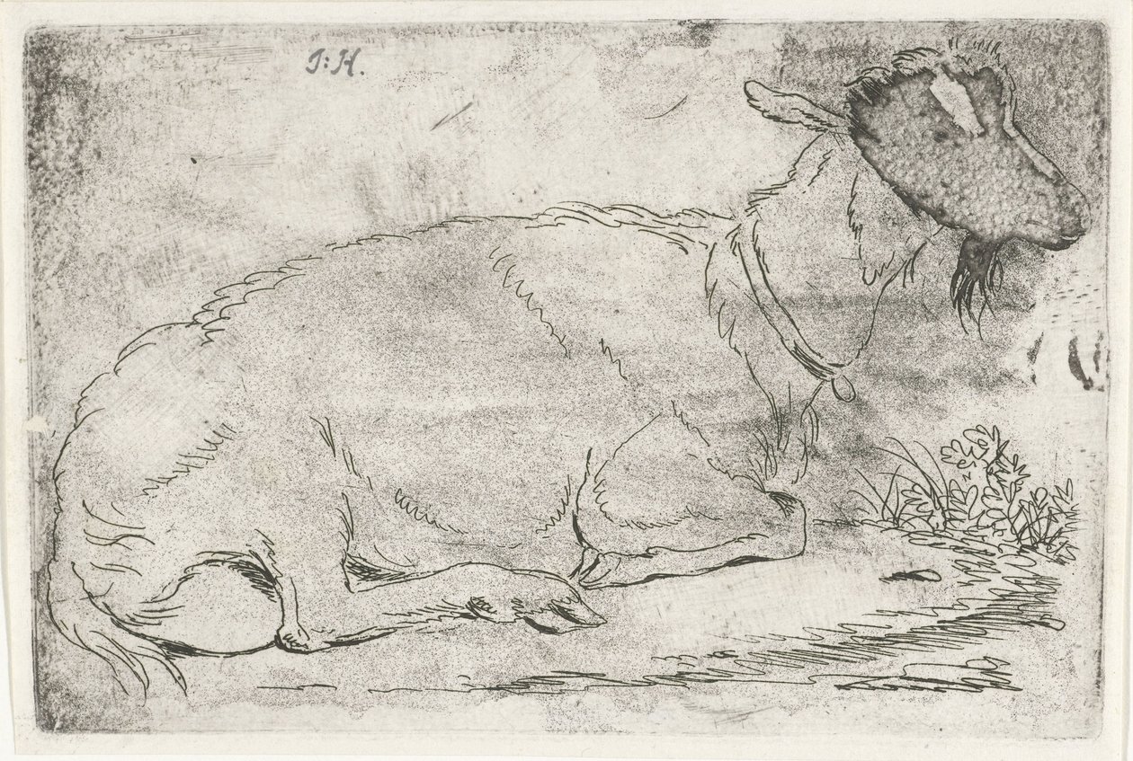  द्वारा Jabes Heenck (कलाकार द्वारा हस्ताक्षरित)