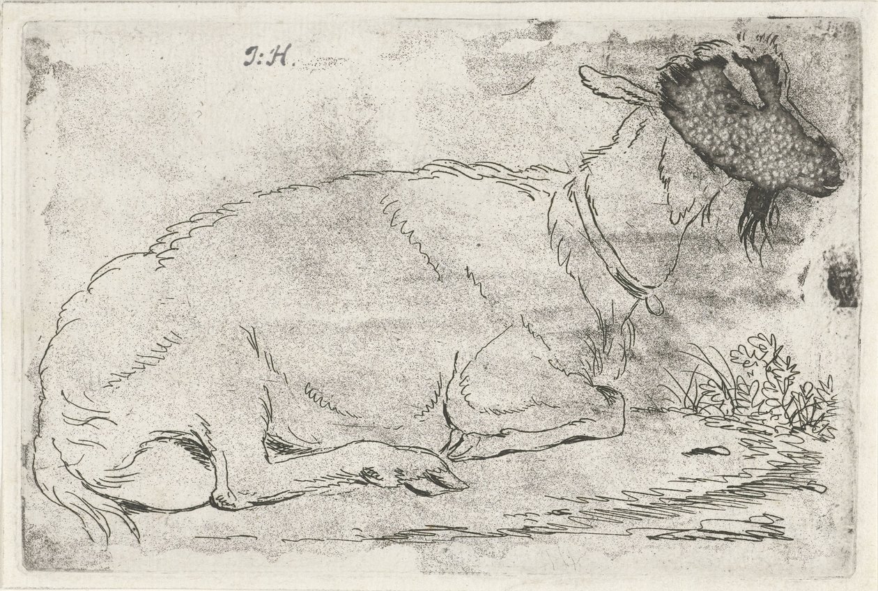  द्वारा Jabes Heenck (कलाकार द्वारा हस्ताक्षरित)
