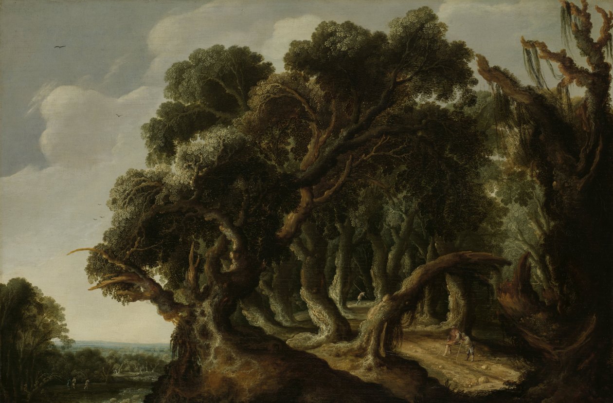 वुडेड लैंडस्केप, c.1633 द्वारा जेकब वैन गील