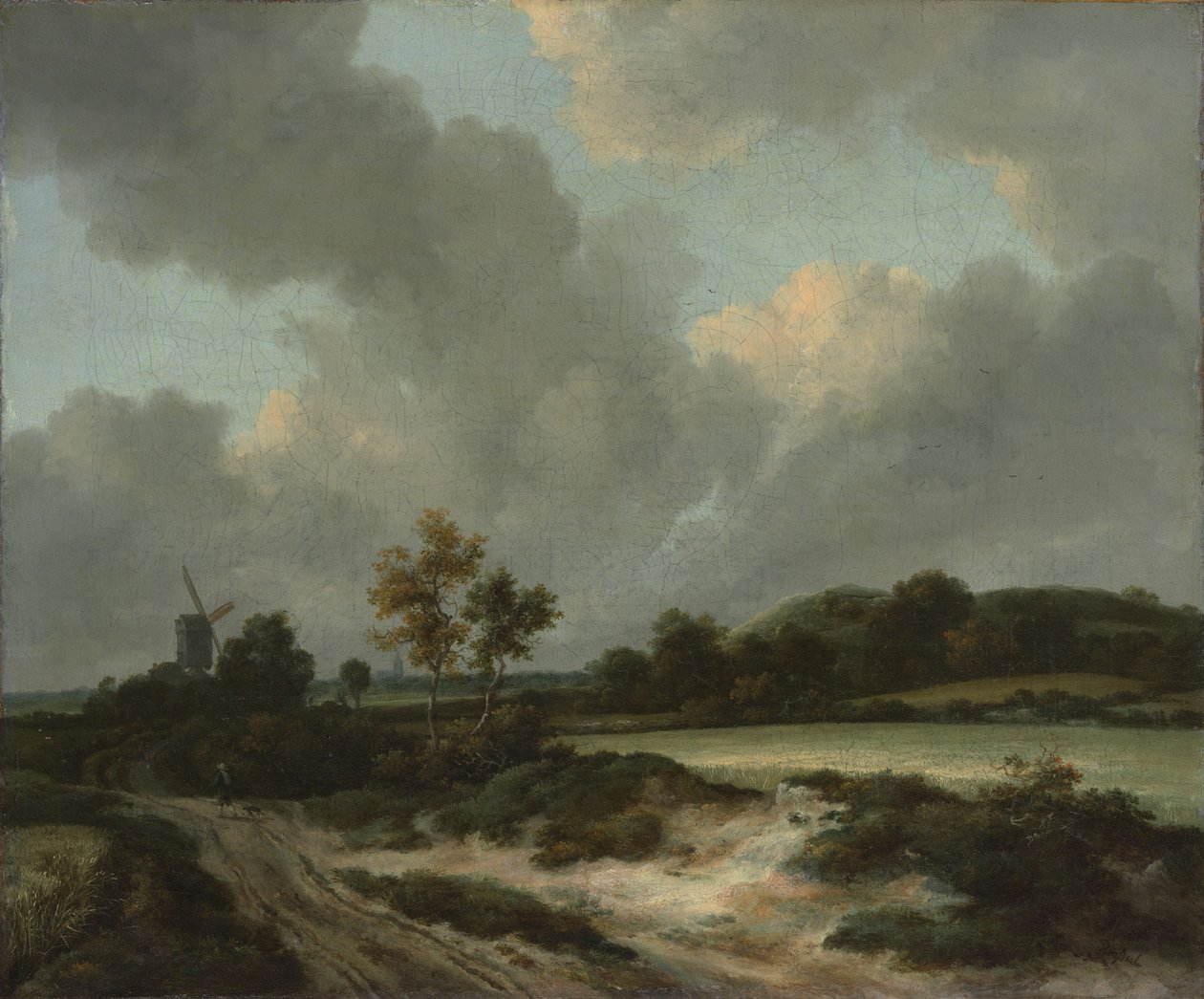 Grainfields, c.1660 (कैनवास पर तेल) द्वारा जैकब वैन रुइसडेल