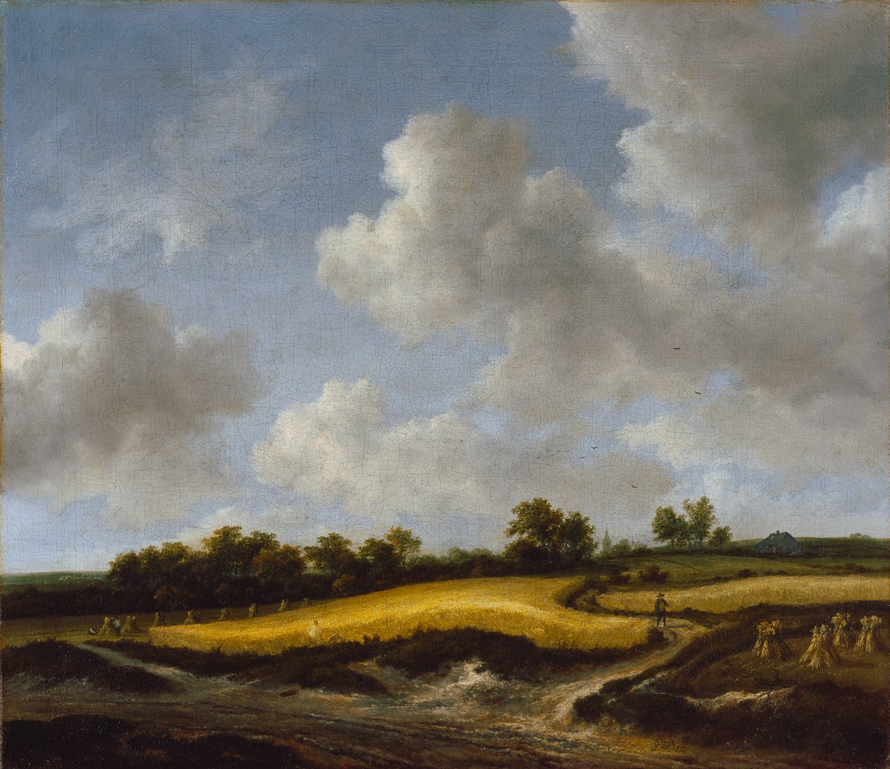 एक व्हीटफील्ड के साथ लैंडस्केप, c.1660 द्वारा जैकब वैन रुइसडेल