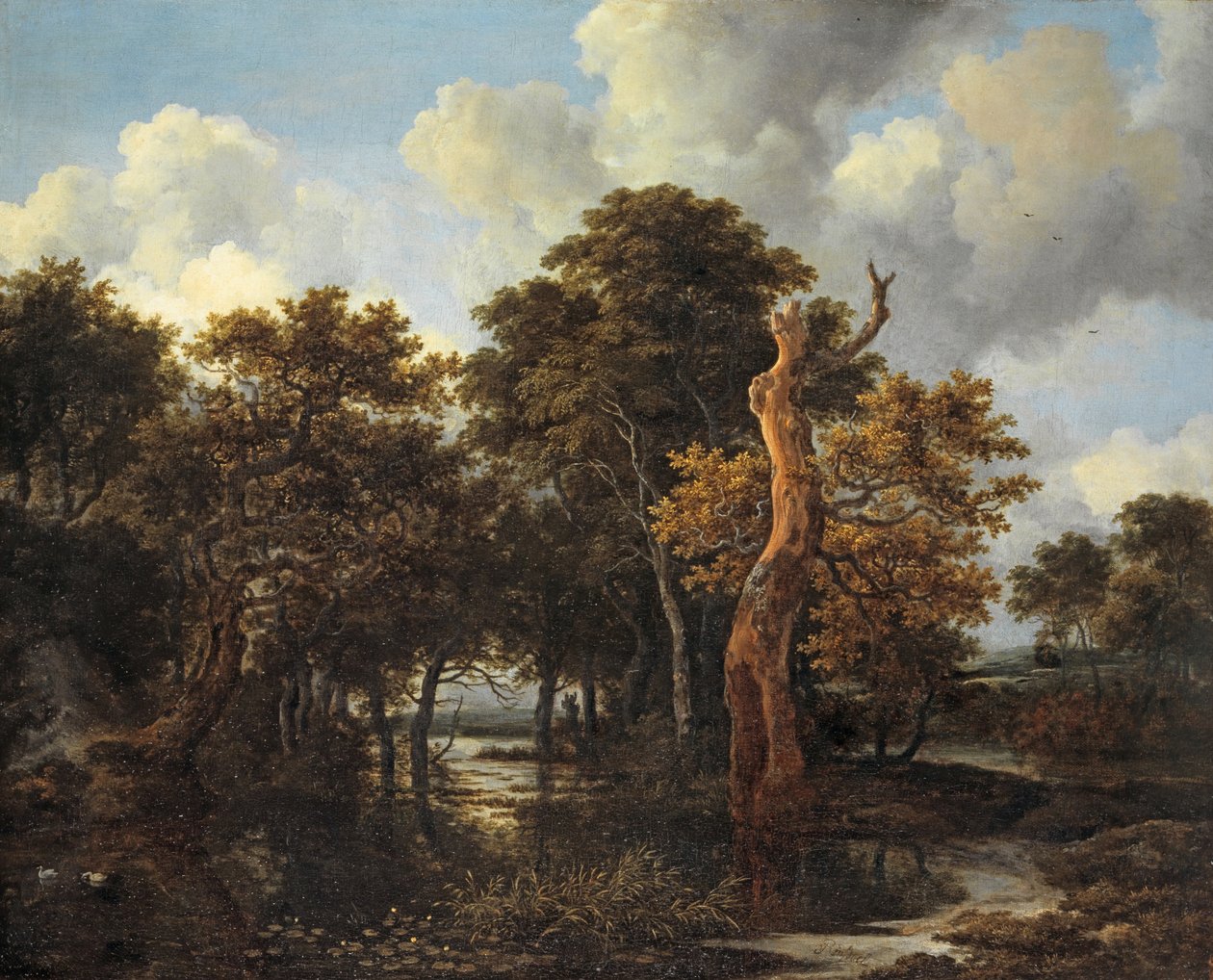 डेड ट्री के साथ लकड़ी के मार्श लैंडस्केप, c.1665 द्वारा जैकब वैन रुइसडेल