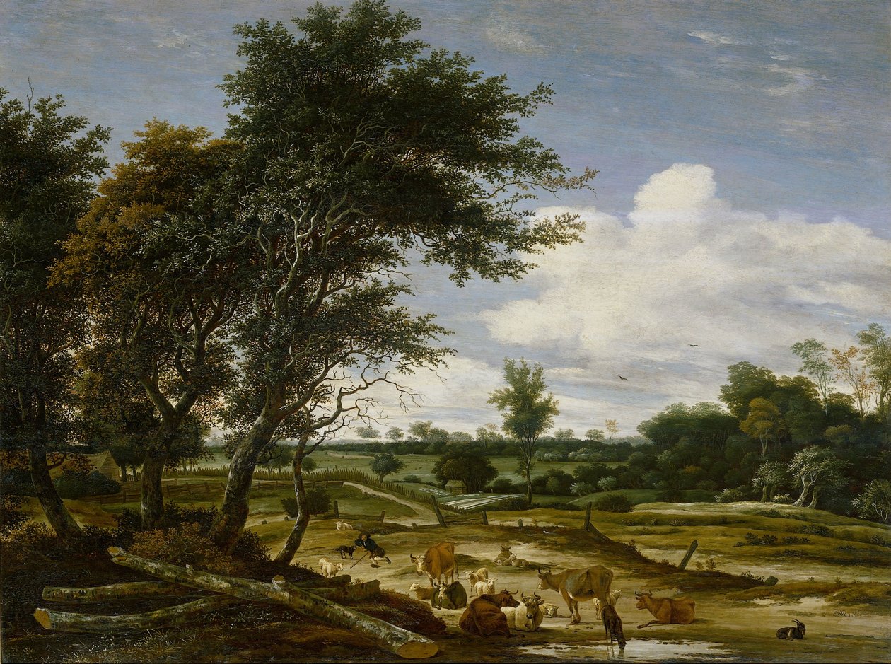  द्वारा जैकब सैल्मोंस Ruysdael