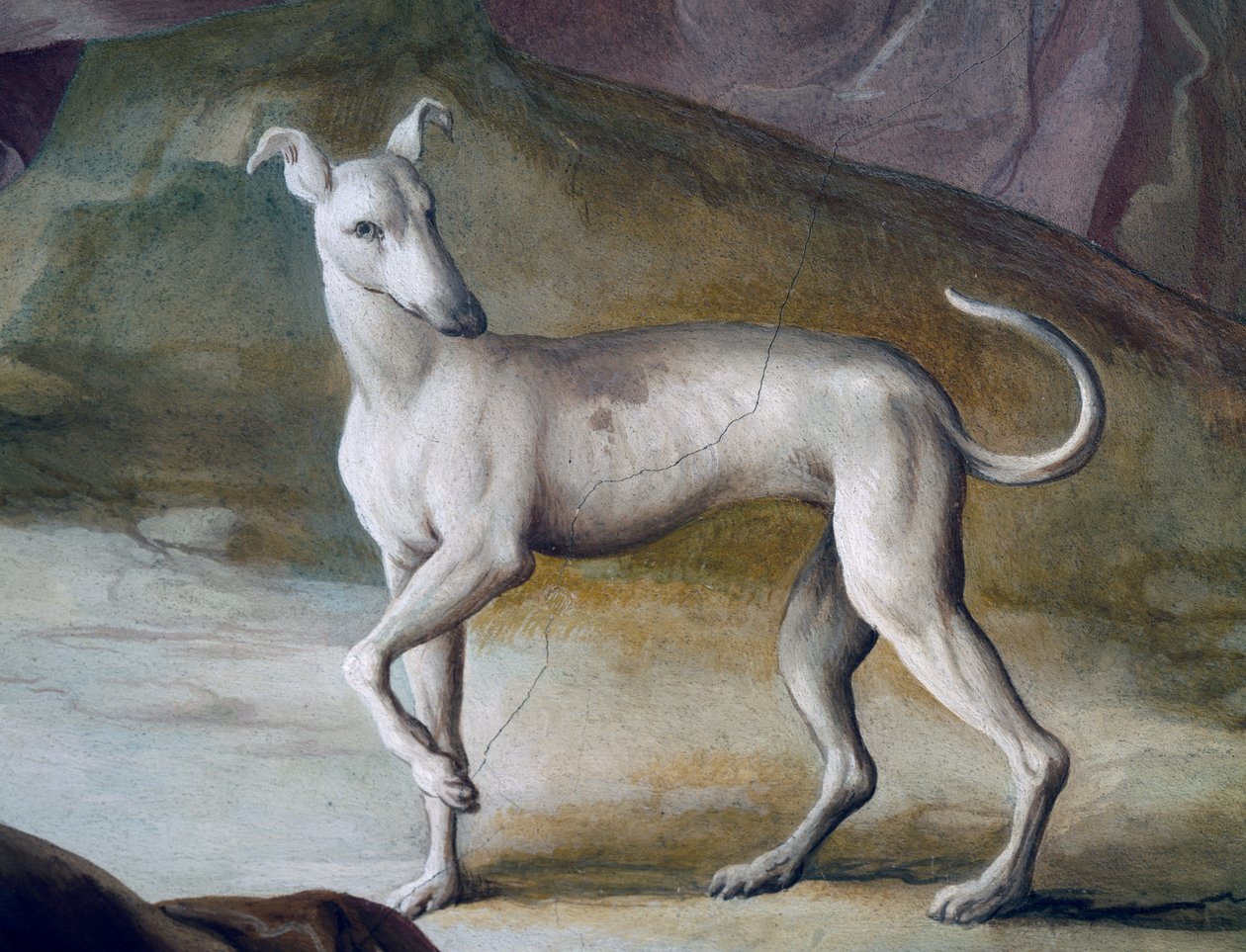 कुत्ता, जैकोपो ग्वाराना (1720-1808) द्वारा फ्रेस्को से विस्तार, विला कॉन्टारिनी का केंद्रीय हॉल, वाल्नोगारेडो, वेनेटो, इटली द्वारा जाको गोपना