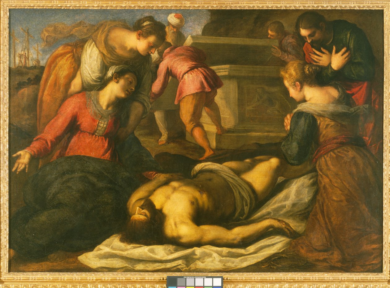  द्वारा जैकोपो इल जियोवेन पाल्मा