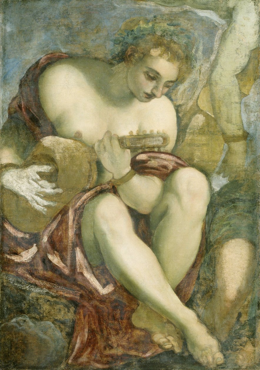 ल्यूट के साथ संग्रहालय, c.1578 (कैनवास पर तेल) द्वारा जैकोपो रोबुस्टी टिंटोरेटो