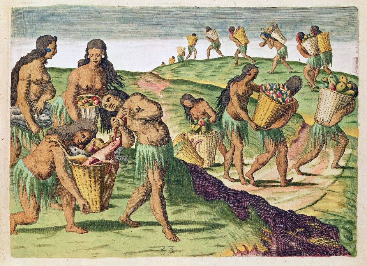 फ्रैंकफर्ट में प्रकाशित थिओडोर डी ब्राय (1538-98) द्वारा उत्कीर्ण &39;ब्रेविस नाररटियो ..&39; से सांप्रदायिक भंडारगृह के लिए भोजन एकत्रित द्वारा जैक्स ले मोयने